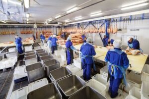 Choosing the Right Abattoir Location: Top Considerations for Irish Meat Processors