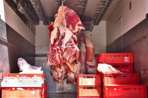A Complete Walkthrough of an Irish Abattoir’s Daily Operations